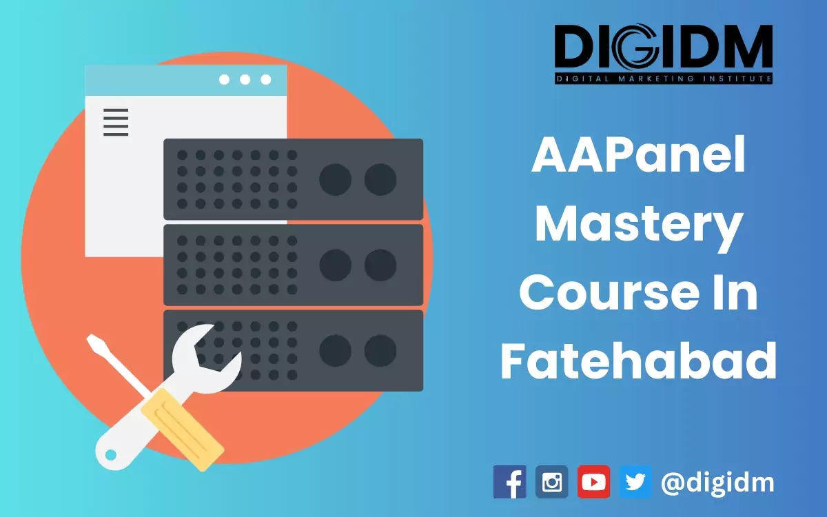 AAPanel Mastery Course in Fatehabad: DigiDM Institute